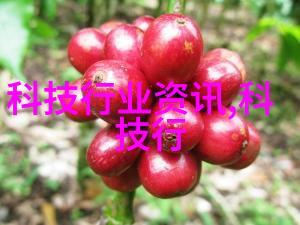 美国宽带有流量限制FFC正调查其影响以及其为何仍然存在
